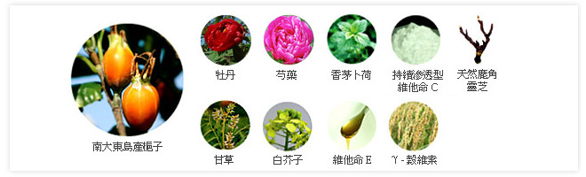 成份