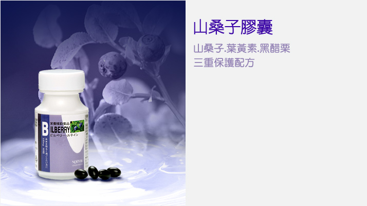 活力乳酸菌II